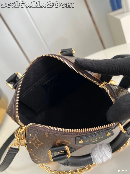 Speedy Vuitton 20 Louis Trunk 0124